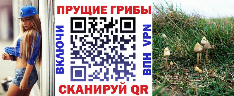 Галлюциногенные грибы ЛСД  blacksprut ТОР  Анадырь 